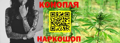 ГАЛЛЮЦИНОГЕННЫЕ ГРИБЫ Волжский