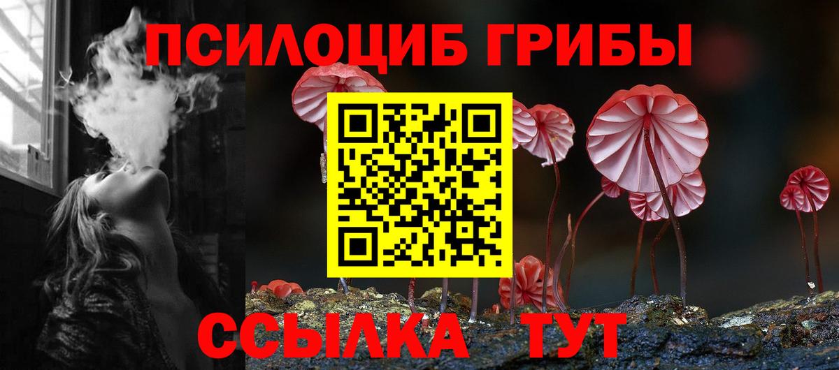 Галлюциногенные грибы Psilocybe Черногорск