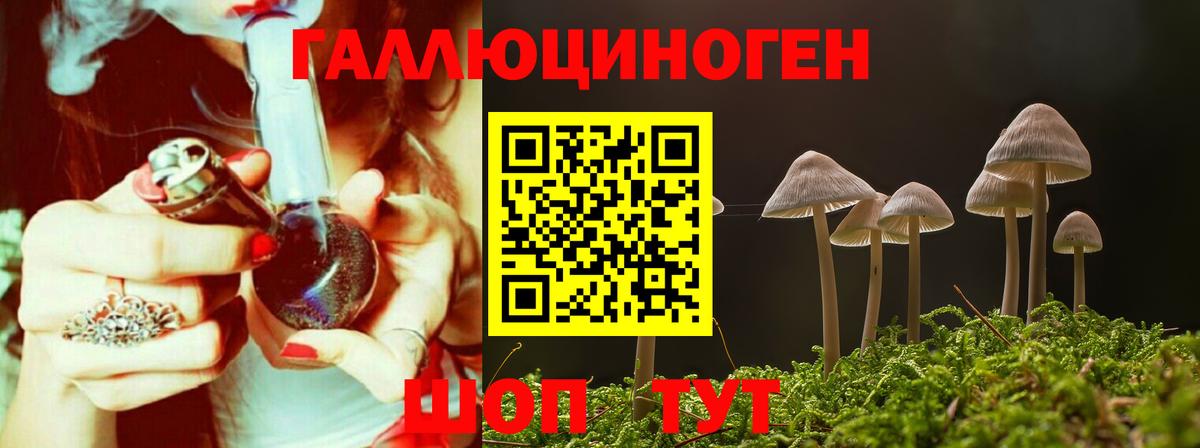 Псилоцибиновые грибы Cubensis  Псилоцибиновые грибы Magic Shrooms  Черногорск  Вход с VPN 